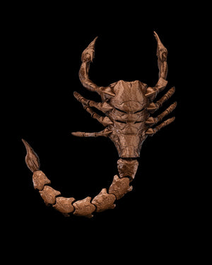Scorpion Grasp