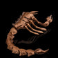 Scorpion Grasp