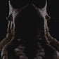 Abyssal Tentacles